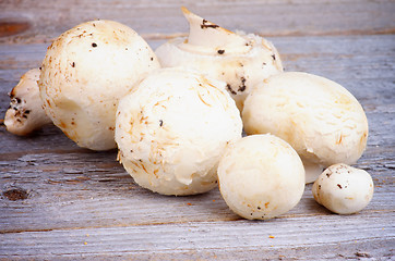 Image showing White Champignon Mushrooms