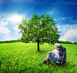 Image showing Tourist and apple-tree