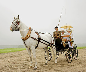 Image showing horse and a old-fashioned horse-drawn