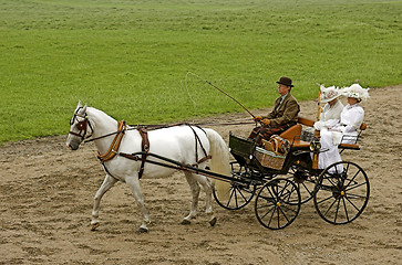 Image showing old-fashioned horse drawn 2