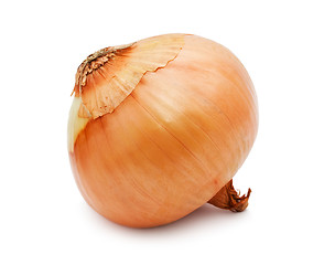 Image showing Onion