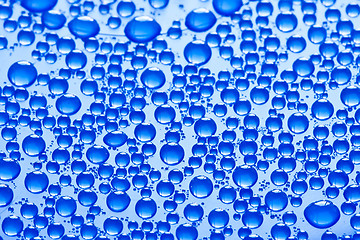 Image showing Water drops