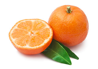 Image showing Tangerines