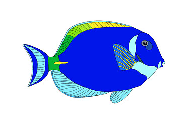 Image showing Fish