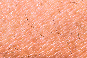 Image showing Texture of human skin