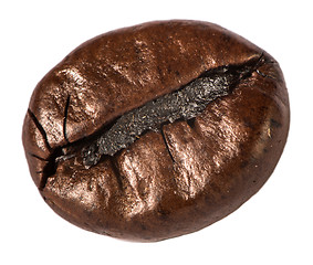 Image showing Grain coffee