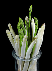 Image showing Asparagus