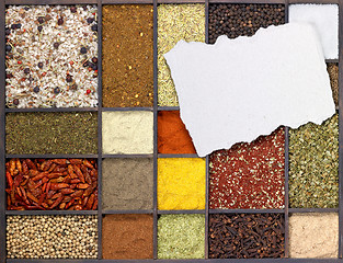 Image showing various spices