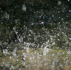 Image showing Drops