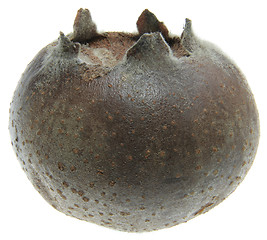 Image showing Medlar