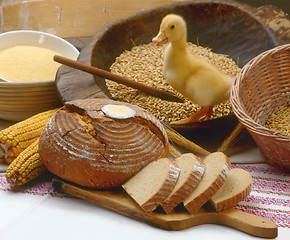 Image showing BreadAndDuck