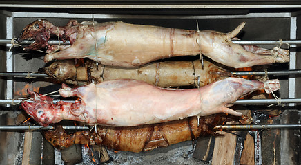 Image showing Lamb Roast