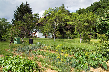 Image showing Rural garden