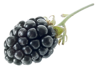 Image showing BlackBerry