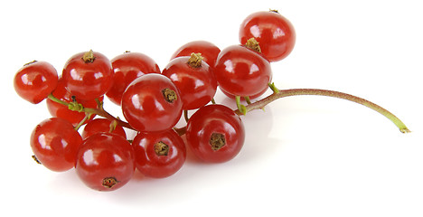 Image showing Red currant