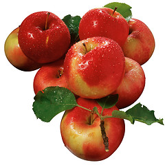 Image showing Apples