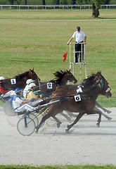 Image showing Horse race