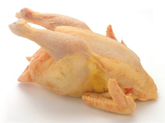 Image showing Raw chicken