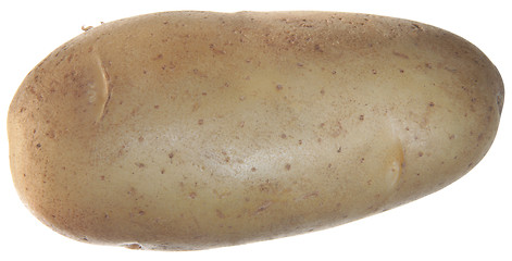 Image showing Potato