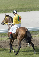 Image showing Jockey