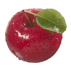 Image showing One red apple