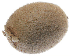 Image showing Kiwi fruit