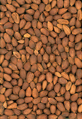 Image showing Nuts