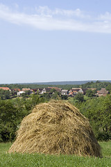 Image showing Rural scene