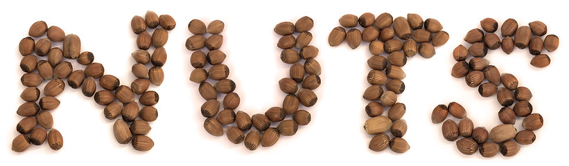 Image showing Hazelnut sign