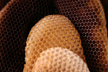 Image showing Bee hive