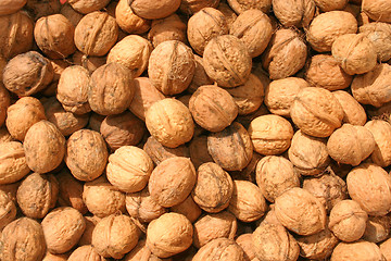 Image showing Wallnut background