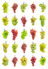 Image showing Grapes