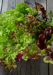 Image showing Mixed Lettuce