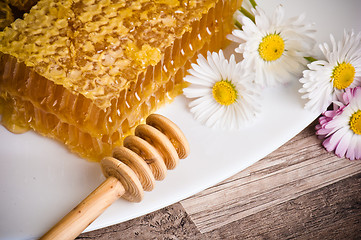 Image showing honeycomb with daisies on white plate 