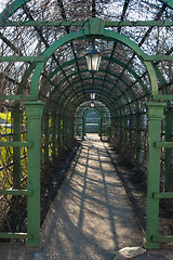 Image showing Green pergola in a park in spring, close up