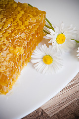 Image showing honeycomb with daisies on white plate 