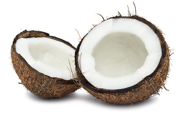 Image showing Coconut