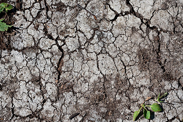 Image showing Dry land