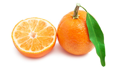 Image showing Tangerines