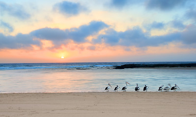 Image showing Sunrise at The Entrance North,  Australia