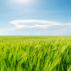 Image showing green field and blue cloudy sky