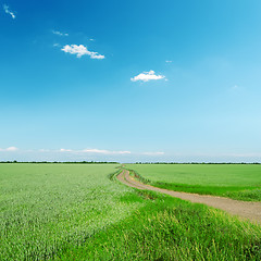 Image showing road in green field under blue sky