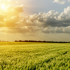 Image showing sunset over green field