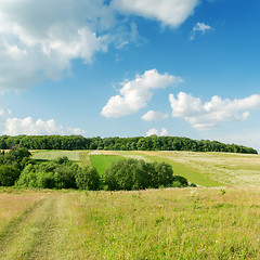 Image showing green landscape under clouds in blue sky