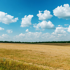 Image showing agriculture field after harvesting and clouds over it