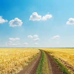 Image showing rural road in field with golden harvest and blue sky