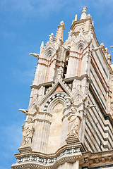 Image showing Siena Cathedral detail