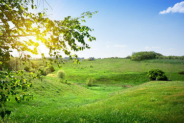 Image showing Suburban landscape