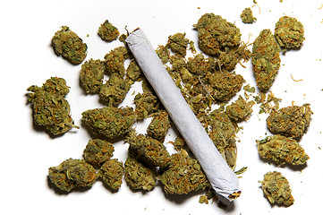 Image showing close up of medicinal marijuana and a joint