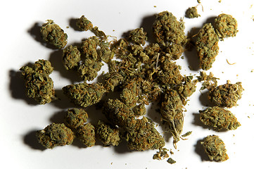 Image showing close up of Medicinal marijuana